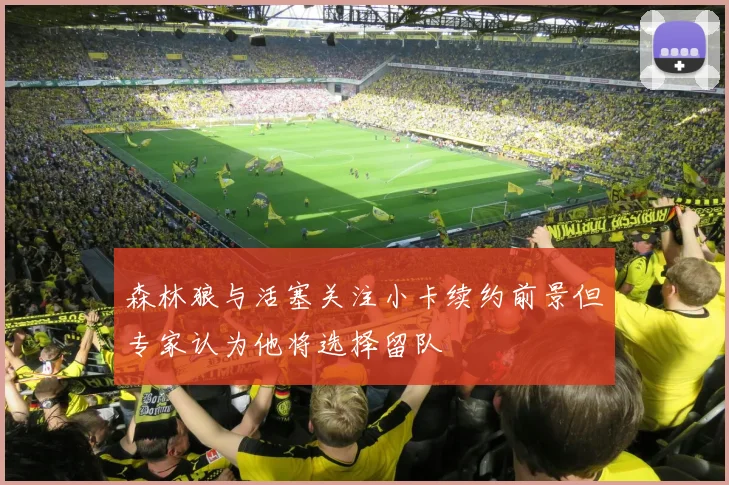 森林狼与活塞关注小卡续约前景但专家认为他将选择留队