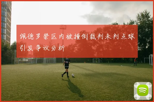 佩德罗禁区内被撞倒裁判未判点球引发争议分析