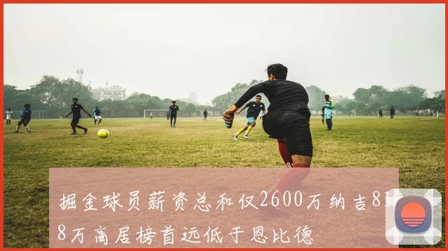 掘金球员薪资总和仅2600万纳吉818万高居榜首远低于恩比德