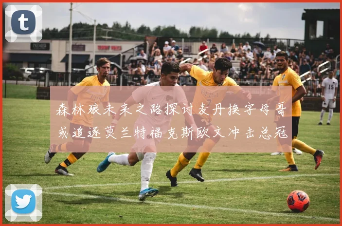 森林狼未来之路探讨麦丹换字母哥或追逐莫兰特福克斯欧文冲击总冠军